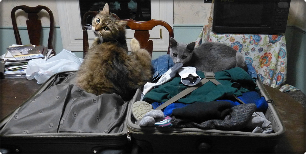 Baggage Inspection