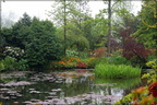 Monet's Garden Pond 