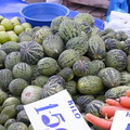 Market Scenes:Cucumber Melons! 