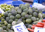 Market Scenes:Cucumber Melons! 