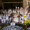 Taksim Fish Market 