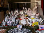 Taksim Fish Market 