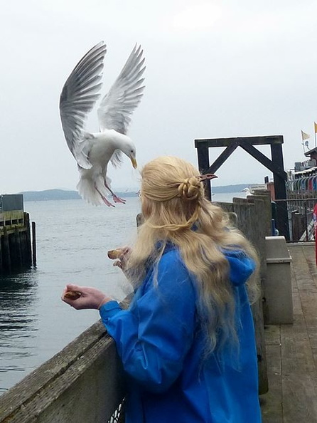 Arwen and Seagull 