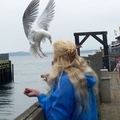 Arwen and Seagull 
