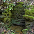 Old Spring House
