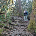 Gabes Mountain trail
