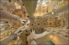 La Sagrada Familia - Ceiling