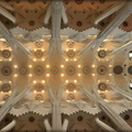 La Sagrada Familia - Ceiling