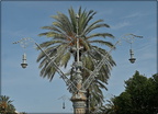 Barcelona Street Lamps